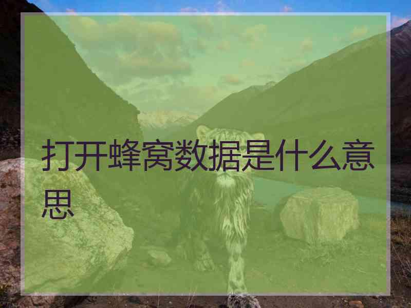 打开蜂窝数据是什么意思