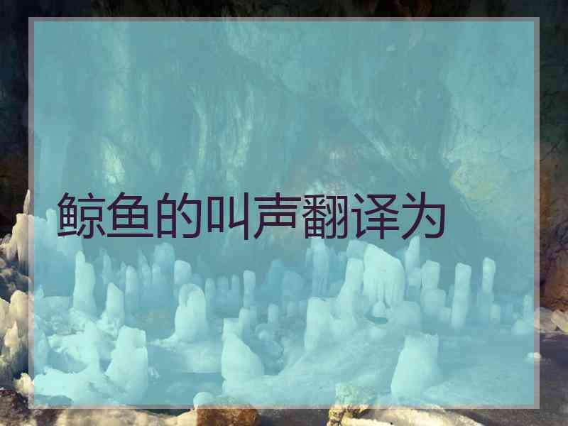 鲸鱼的叫声翻译为