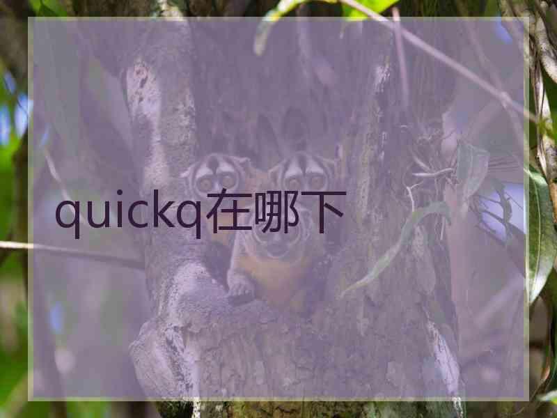 quickq在哪下