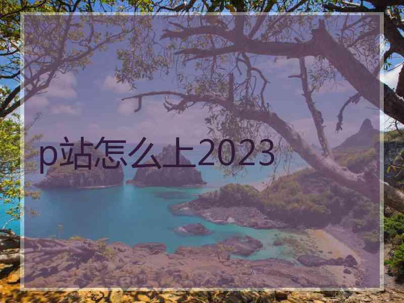 p站怎么上2023