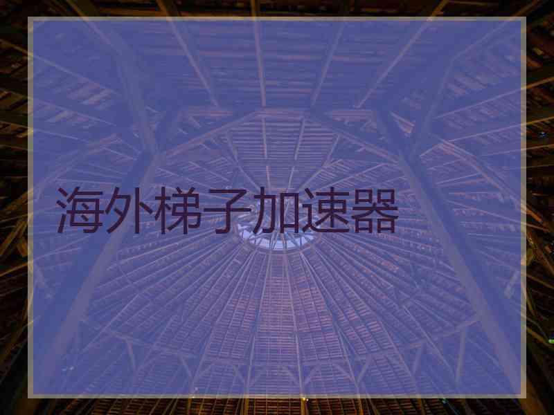 海外梯子加速器
