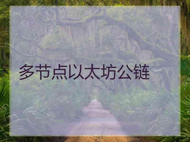 多节点以太坊公链