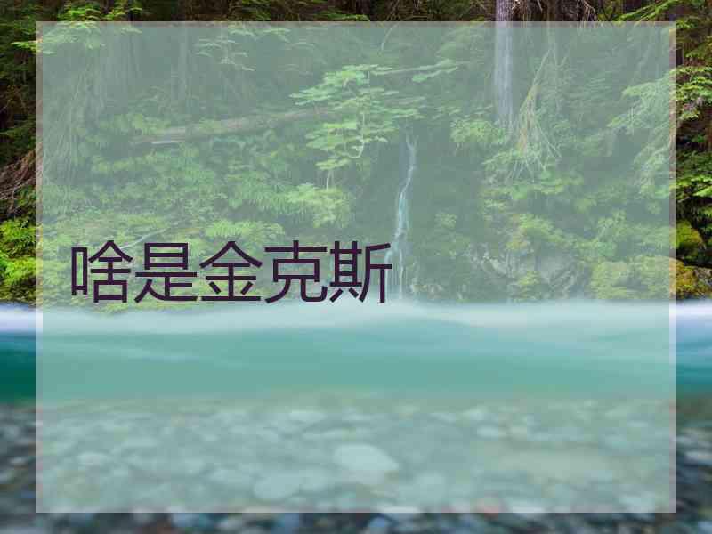 啥是金克斯
