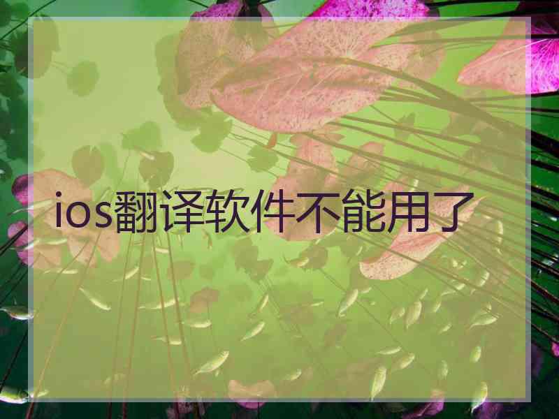 ios翻译软件不能用了