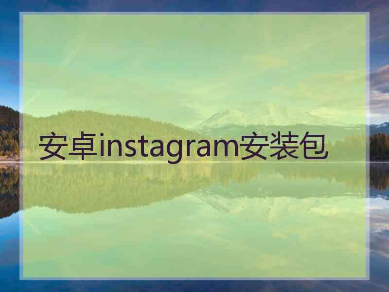 安卓instagram安装包