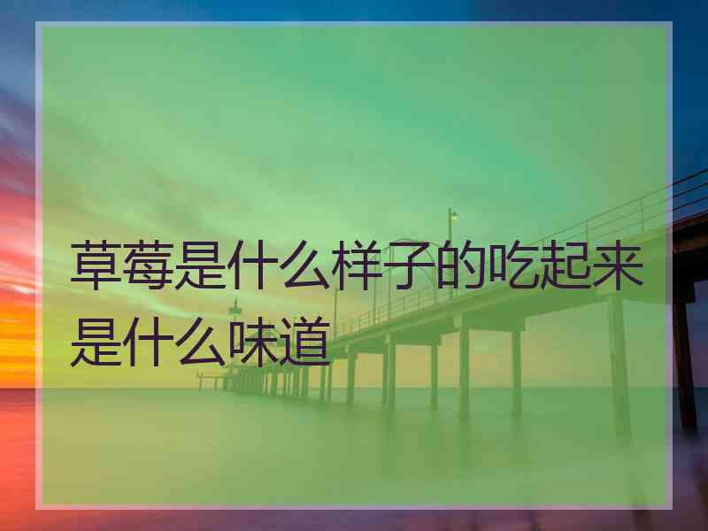 草莓是什么样子的吃起来是什么味道