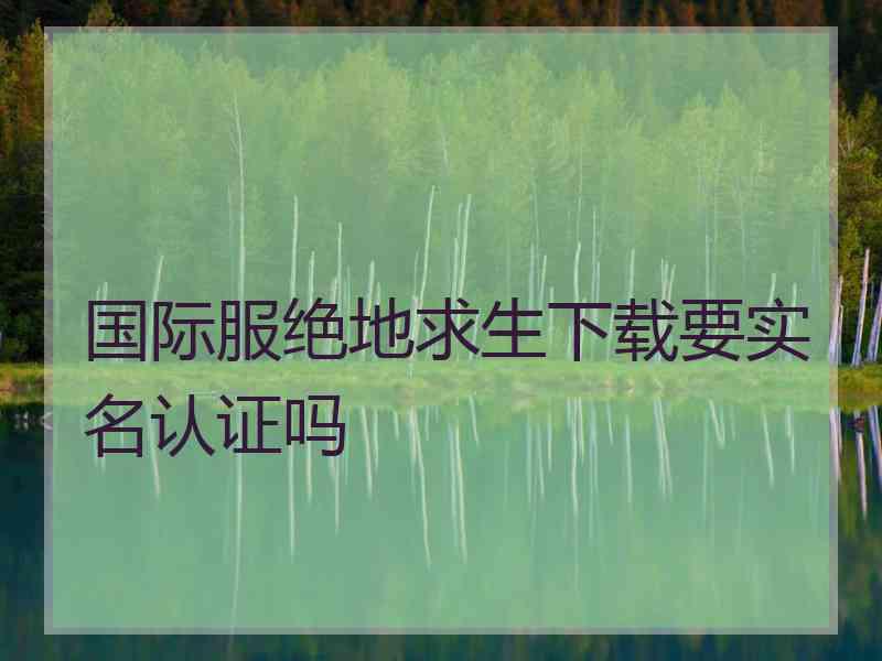 国际服绝地求生下载要实名认证吗