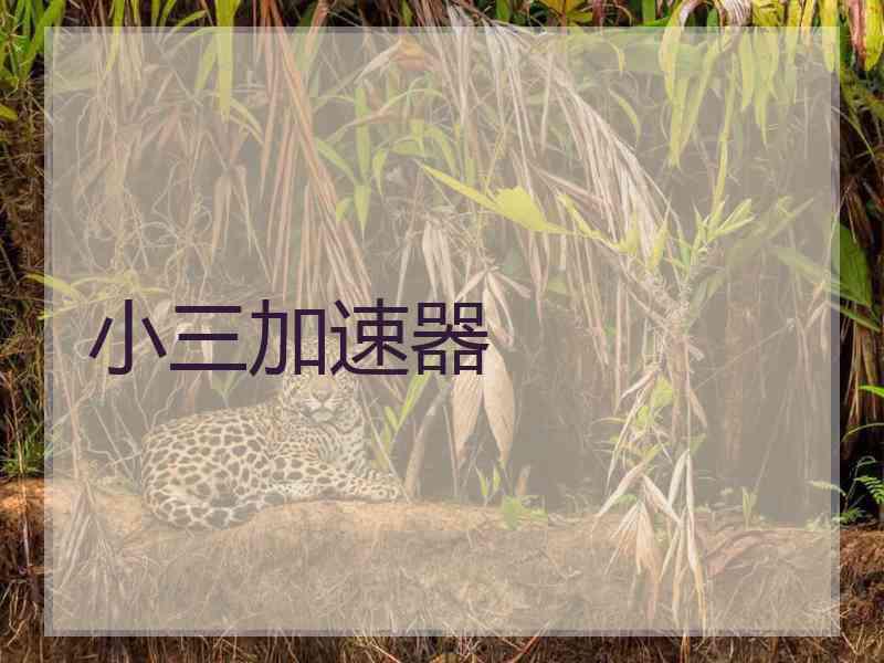 小三加速器