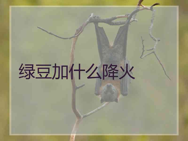 绿豆加什么降火