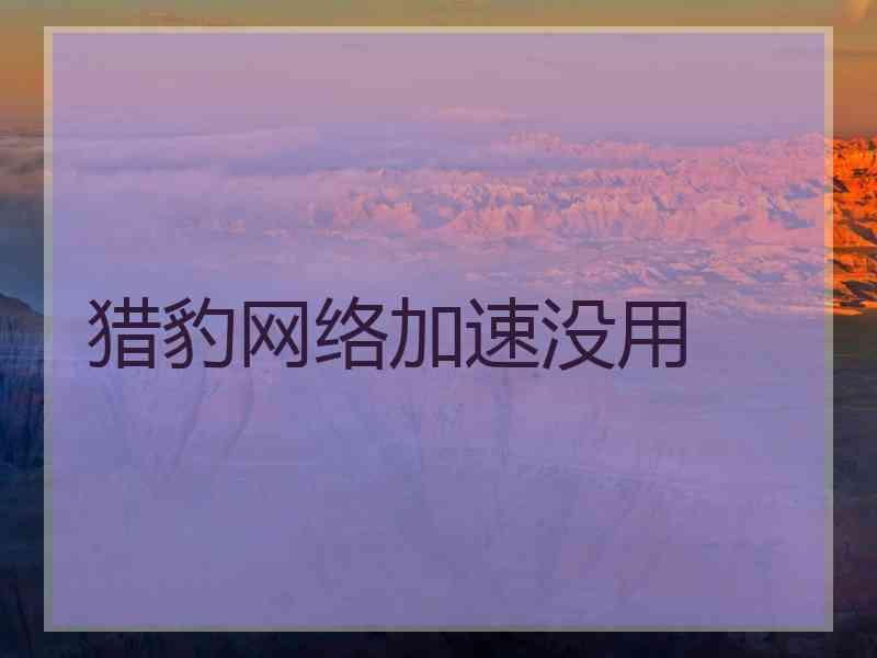 猎豹网络加速没用