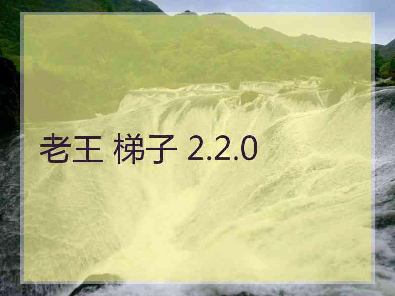 老王 梯子 2.2.0