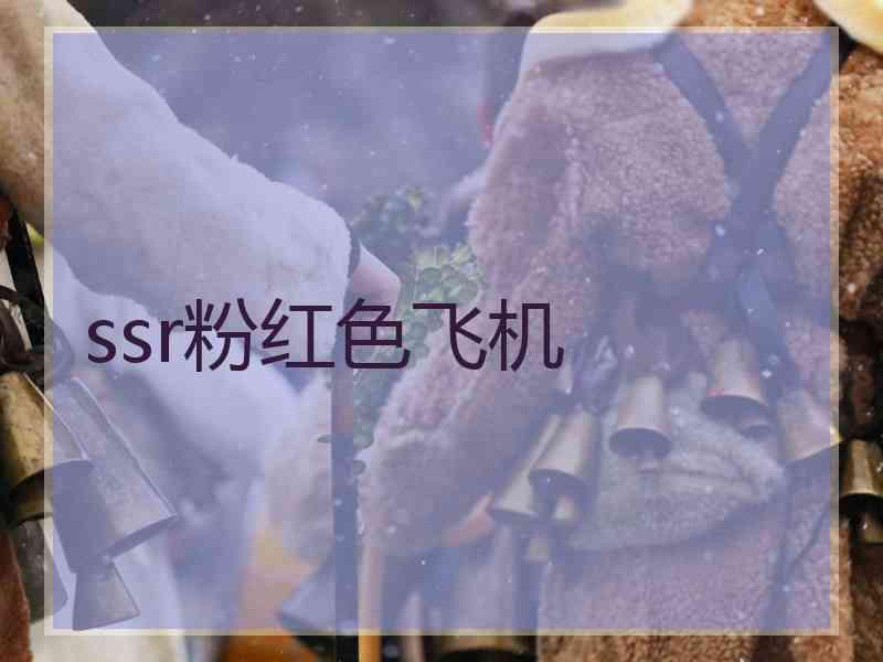 ssr粉红色飞机