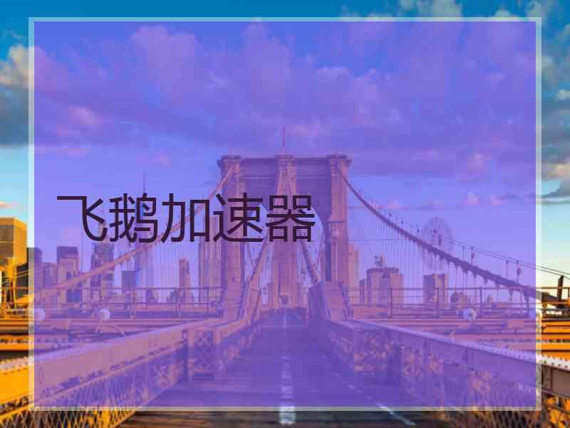 飞鹅加速器