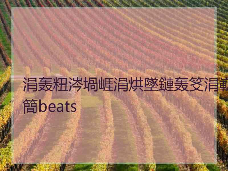 涓轰粈涔堝崕涓烘墜鏈轰笅涓嶄簡beats