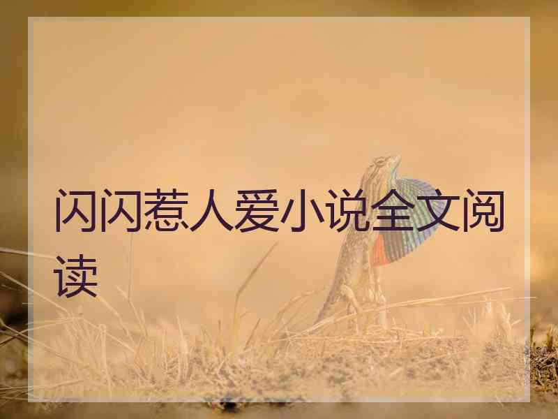 闪闪惹人爱小说全文阅读