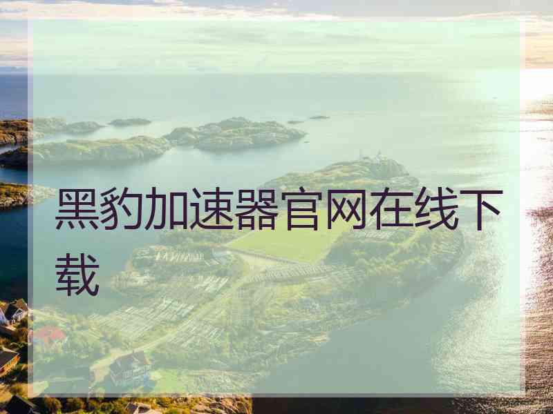 黑豹加速器官网在线下载
