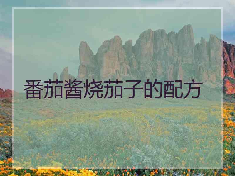 番茄酱烧茄子的配方