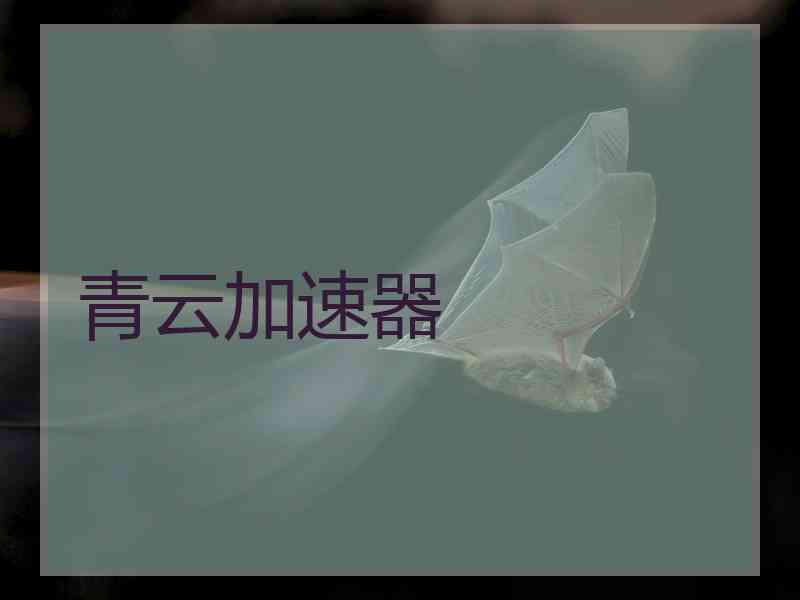 青云加速器