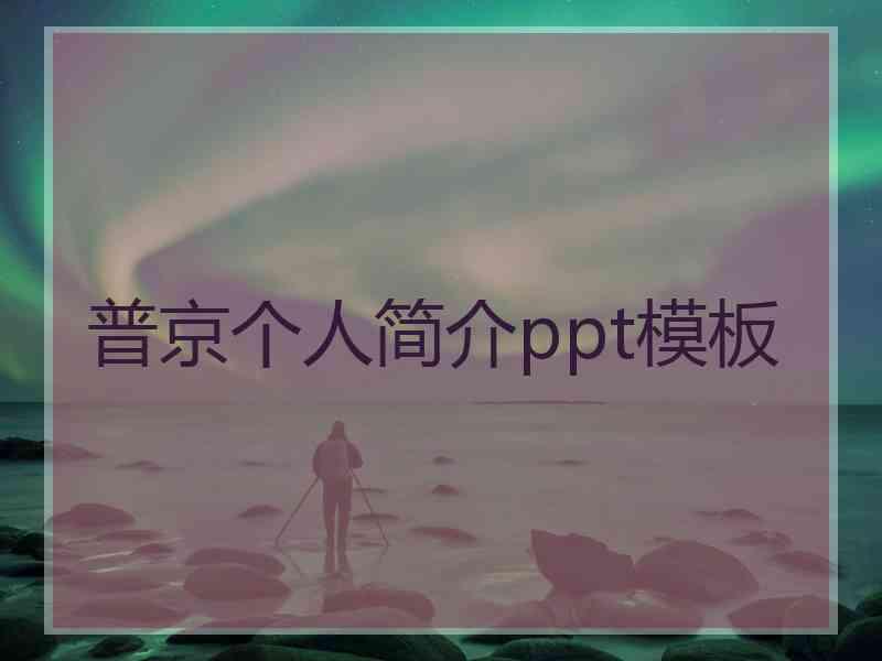 普京个人简介ppt模板