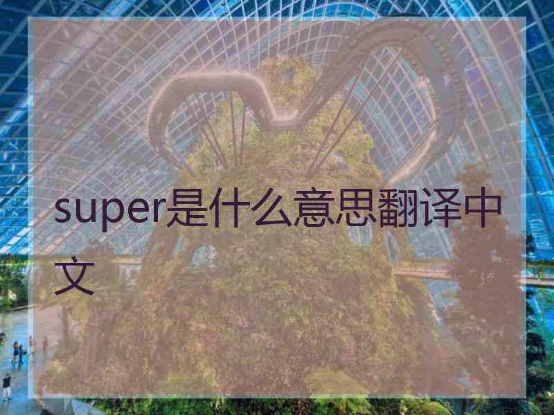 super是什么意思翻译中文