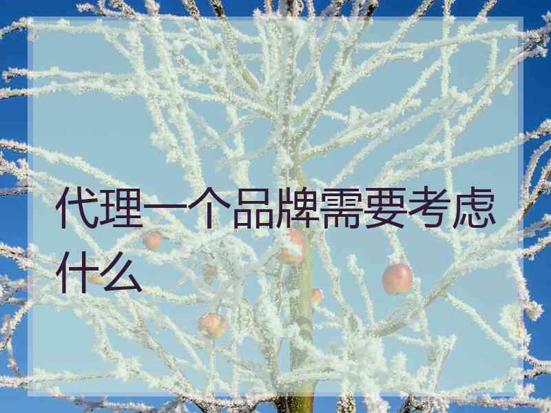 代理一个品牌需要考虑什么