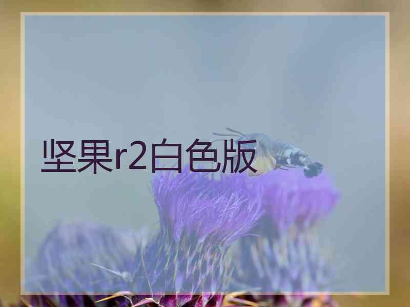 坚果r2白色版