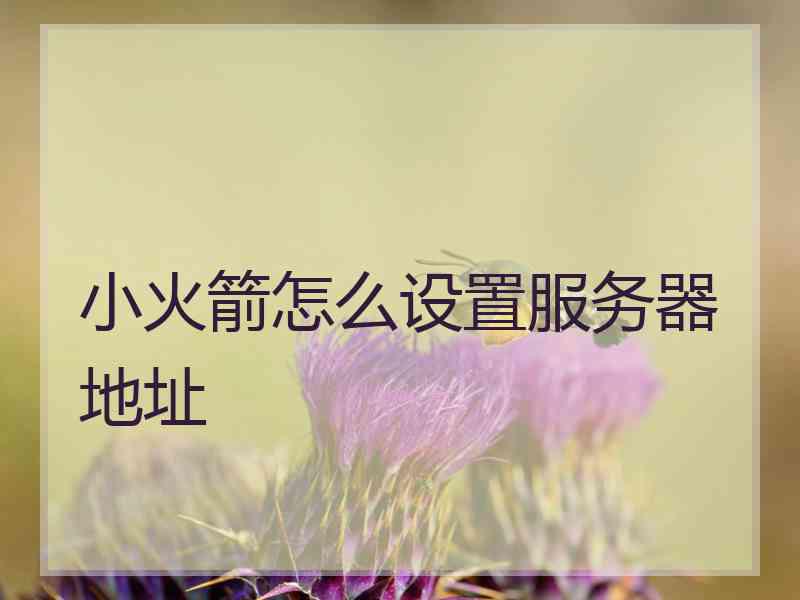 小火箭怎么设置服务器地址