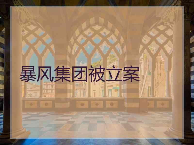 暴风集团被立案