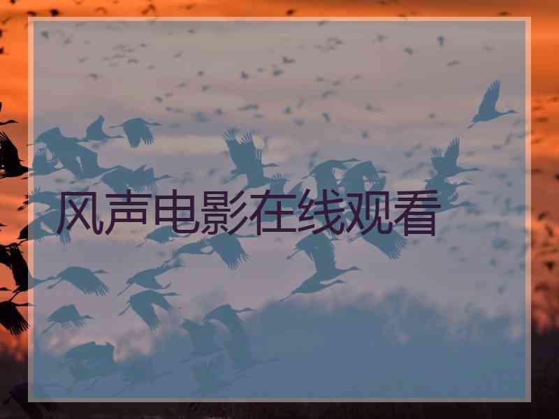 风声电影在线观看