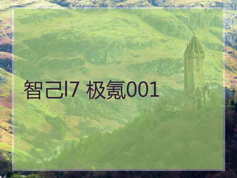 智己l7 极氪001