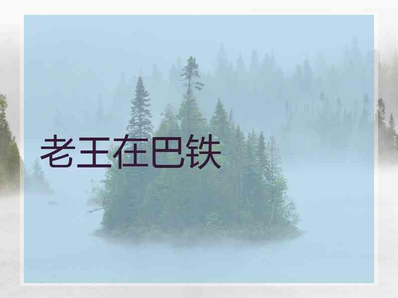 老王在巴铁