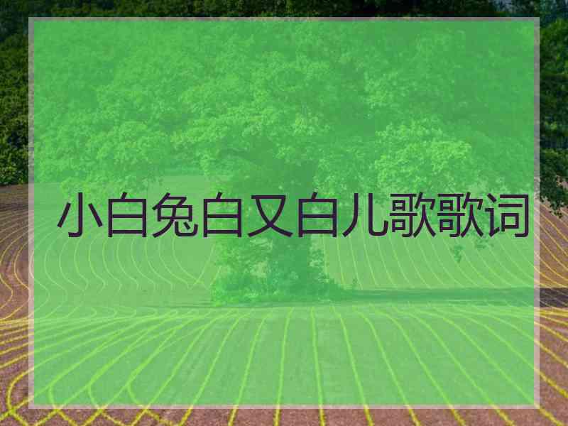 小白兔白又白儿歌歌词
