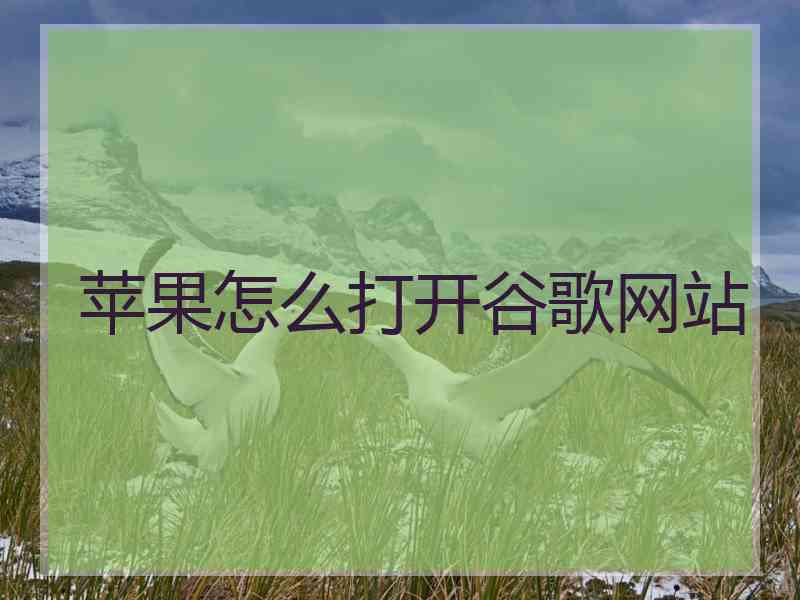 苹果怎么打开谷歌网站