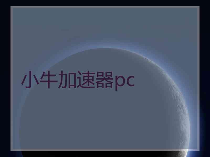 小牛加速器pc