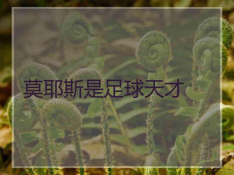 莫耶斯是足球天才