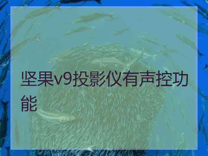 坚果v9投影仪有声控功能