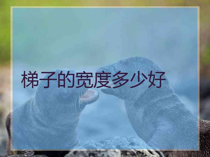 梯子的宽度多少好