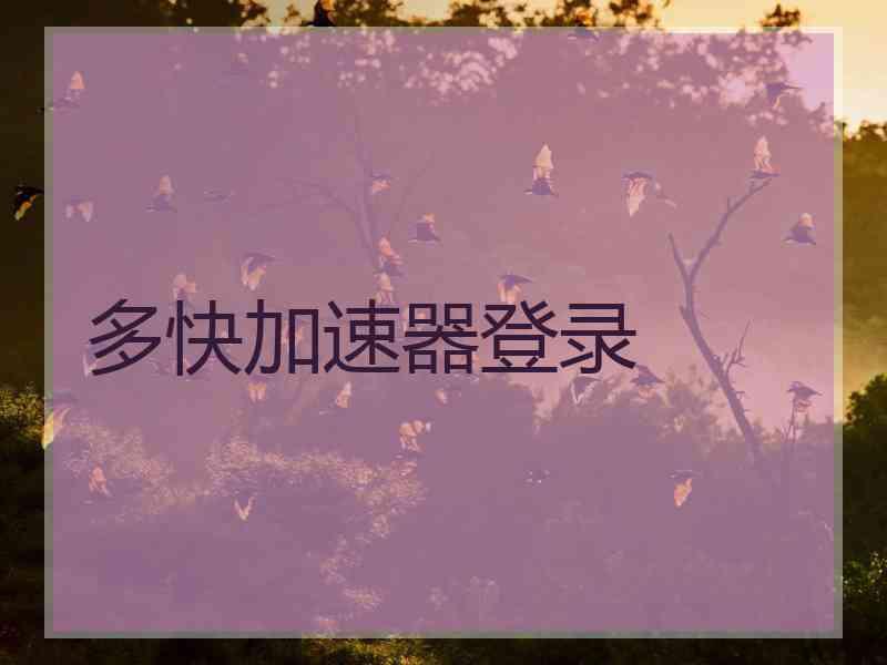 多快加速器登录