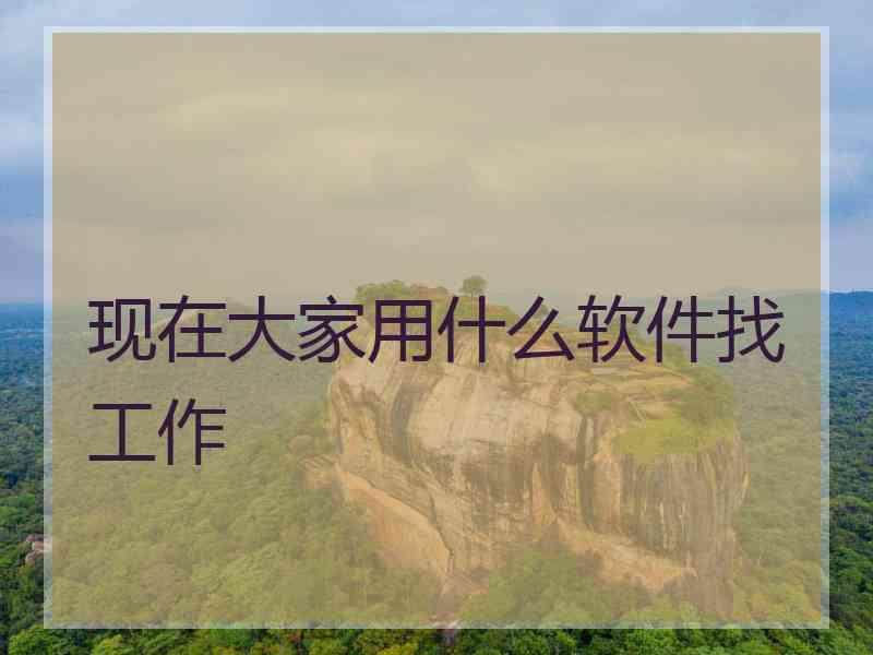 现在大家用什么软件找工作