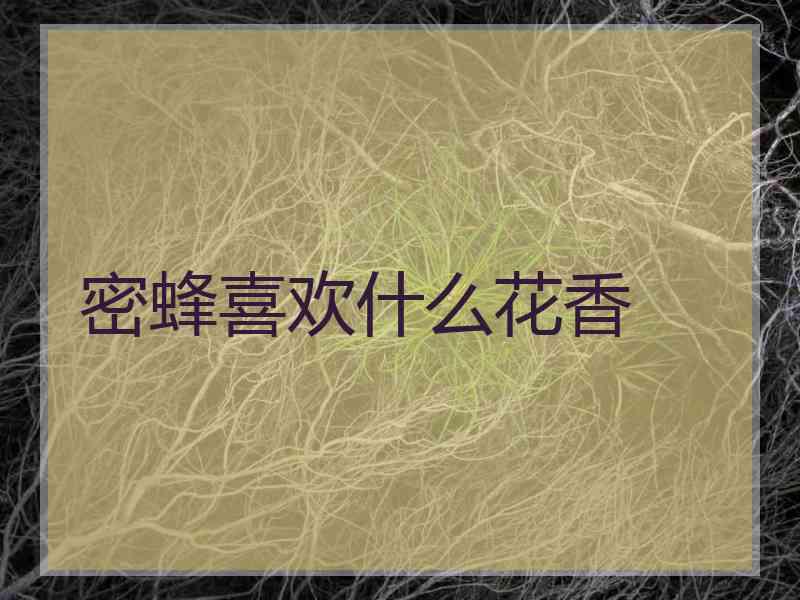 密蜂喜欢什么花香