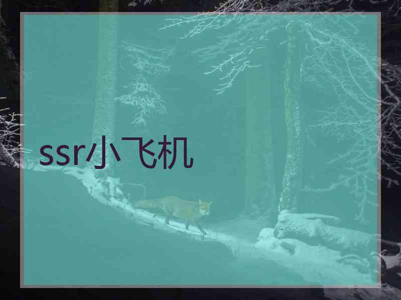 ssr小飞机