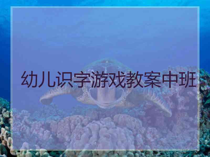 幼儿识字游戏教案中班