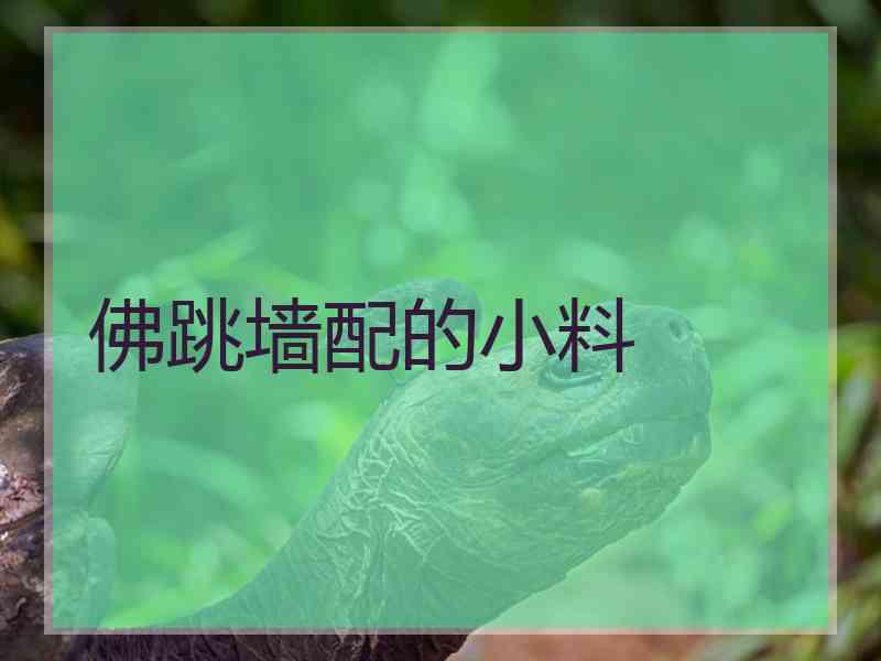 佛跳墙配的小料