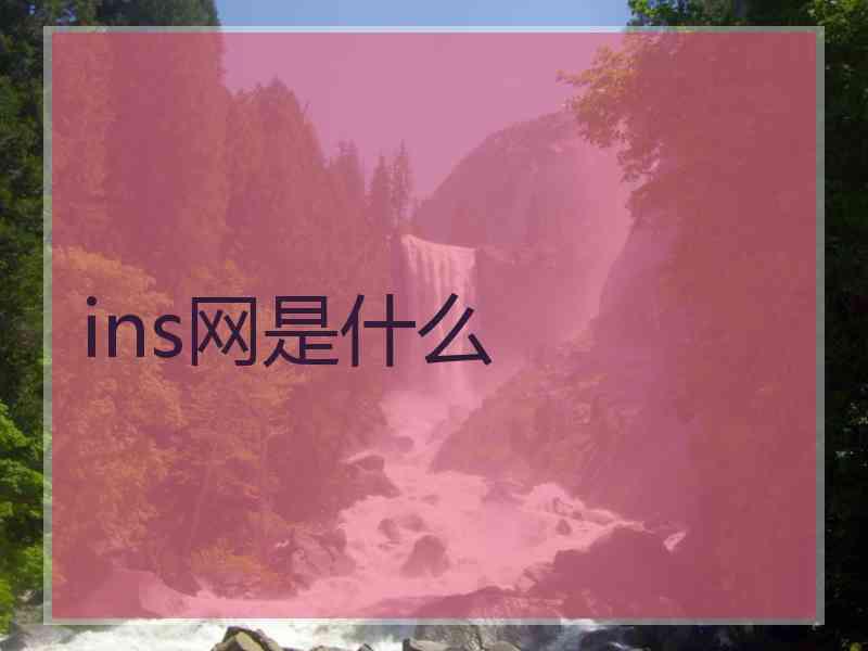 ins网是什么
