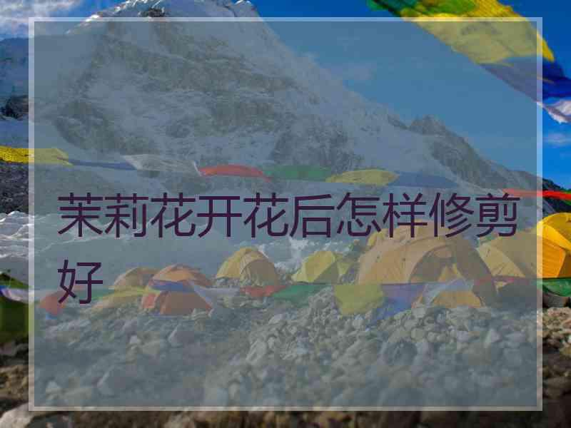 茉莉花开花后怎样修剪好