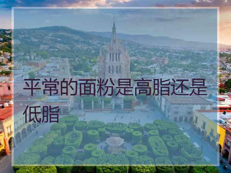平常的面粉是高脂还是低脂
