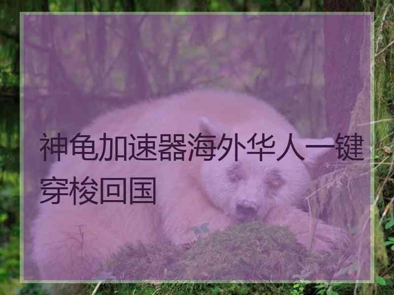 神龟加速器海外华人一键穿梭回国