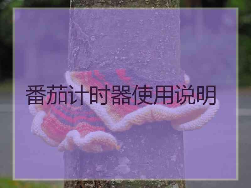 番茄计时器使用说明
