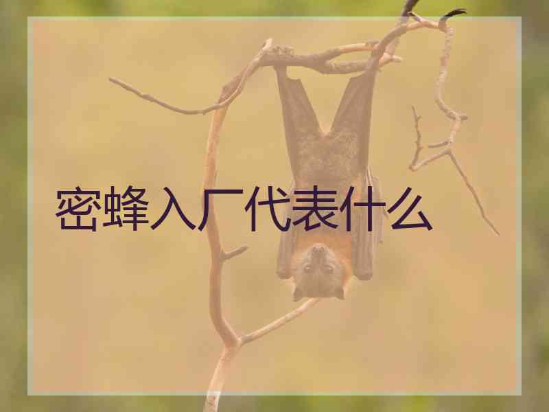 密蜂入厂代表什么