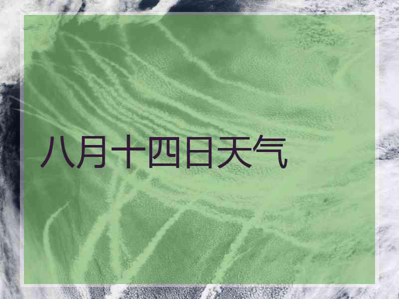 八月十四日天气